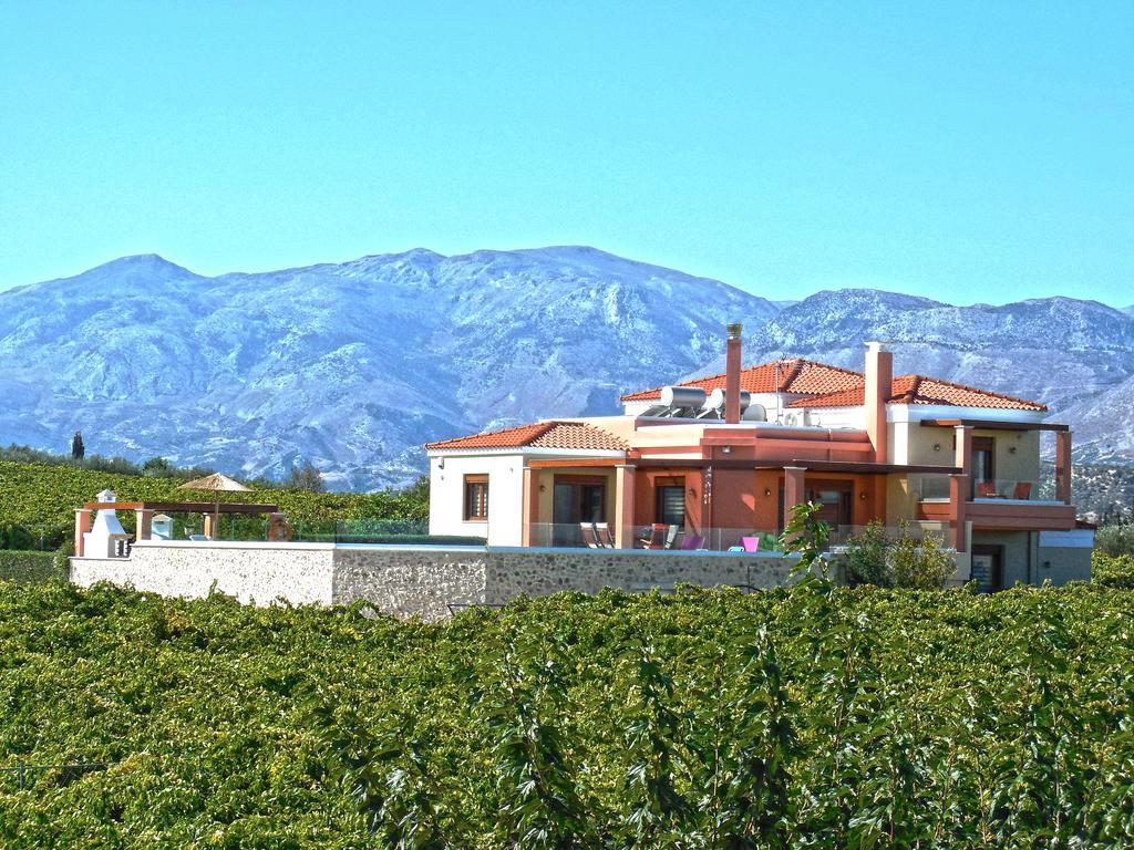Cretan Vineyard Hill Villa Kato Kalesia 外观 照片