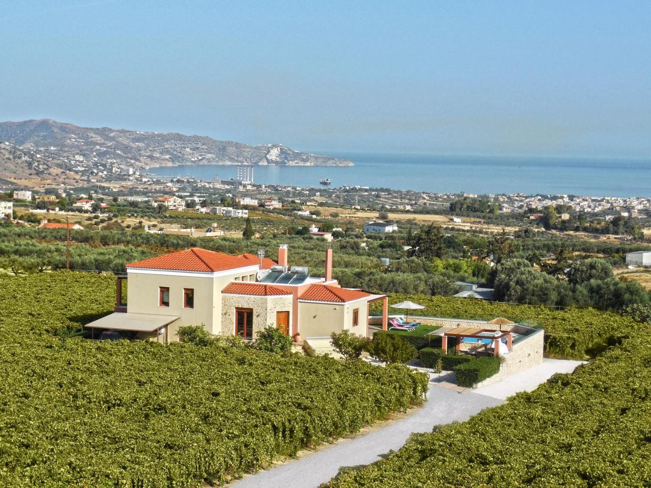Cretan Vineyard Hill Villa Kato Kalesia 外观 照片